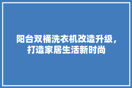 阳台双桶洗衣机改造升级，打造家居生活新时尚