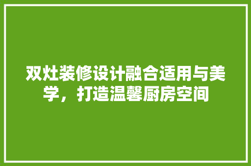 双灶装修设计融合适用与美学，打造温馨厨房空间