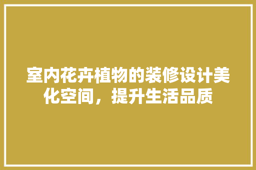 室内花卉植物的装修设计美化空间，提升生活品质