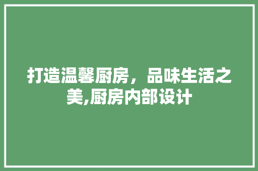 打造温馨厨房，品味生活之美,厨房内部设计