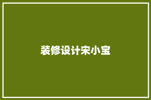 装修设计宋小宝