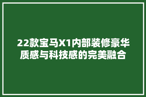 22款宝马X1内部装修豪华质感与科技感的完美融合
