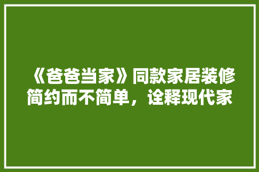 《爸爸当家》同款家居装修简约而不简单，诠释现代家庭生活美学