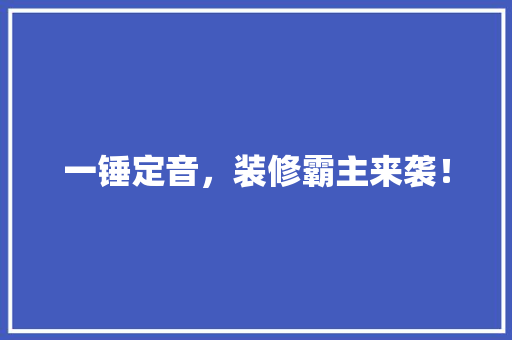 一锤定音，装修霸主来袭！