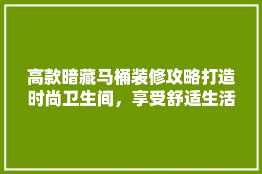 高款暗藏马桶装修攻略打造时尚卫生间，享受舒适生活