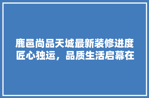 鹿邑尚品天城最新装修进度匠心独运，品质生活启幕在即