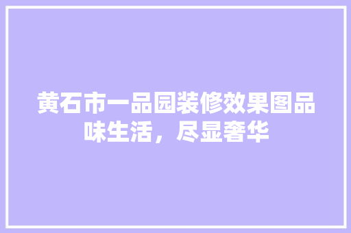 黄石市一品园装修效果图品味生活，尽显奢华