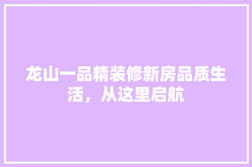 龙山一品精装修新房品质生活，从这里启航  第1张