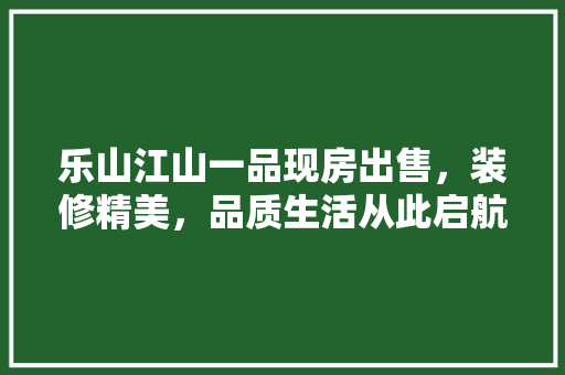 乐山江山一品现房出售，装修精美，品质生活从此启航