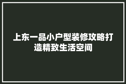 上东一品小户型装修攻略打造精致生活空间