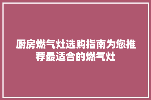 厨房燃气灶选购指南为您推荐最适合的燃气灶