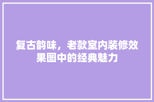 复古韵味，老款室内装修效果图中的经典魅力
