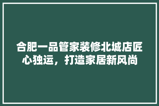 合肥一品管家装修北城店匠心独运，打造家居新风尚