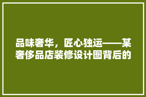 品味奢华，匠心独运——某奢侈品店装修设计图背后的美学奥秘