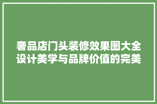 奢品店门头装修效果图大全设计美学与品牌价值的完美融合