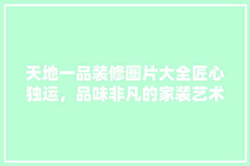 天地一品装修图片大全匠心独运，品味非凡的家装艺术