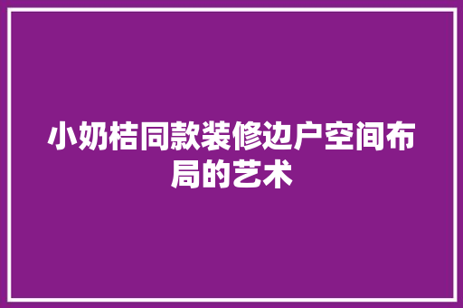 小奶桔同款装修边户空间布局的艺术
