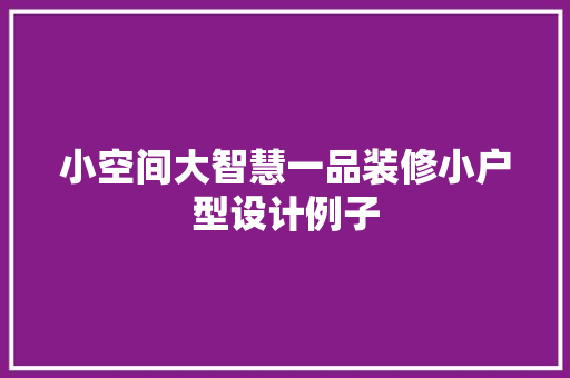 小空间大智慧一品装修小户型设计例子