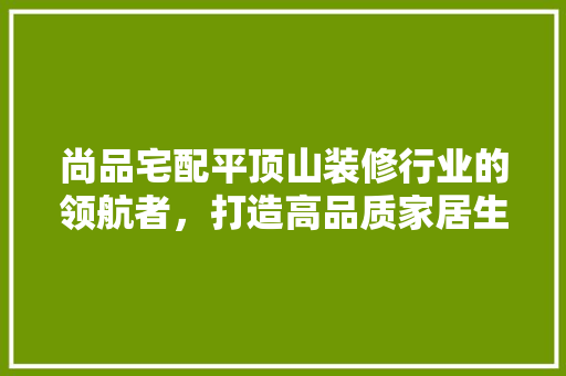 尚品宅配平顶山装修行业的领航者，打造高品质家居生活