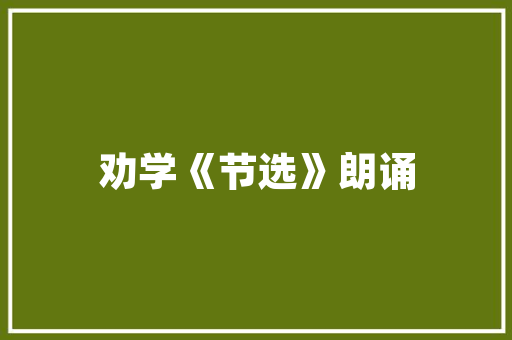 奢侈品店装修品味与价值的完美融合
