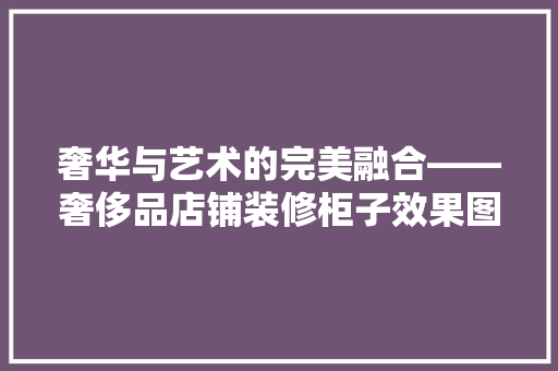 奢华与艺术的完美融合——奢侈品店铺装修柜子效果图
