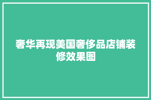 奢华再现美国奢侈品店铺装修效果图