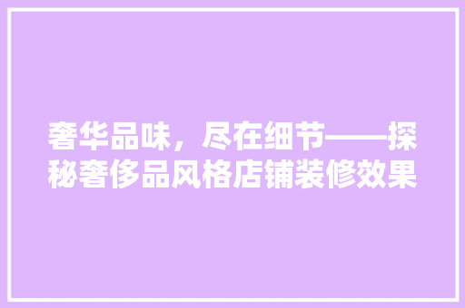 奢华品味，尽在细节——探秘奢侈品风格店铺装修效果图