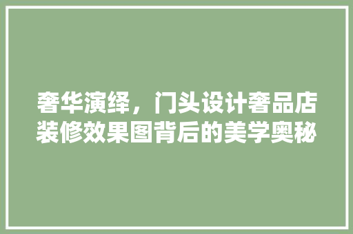 奢华演绎，门头设计奢品店装修效果图背后的美学奥秘