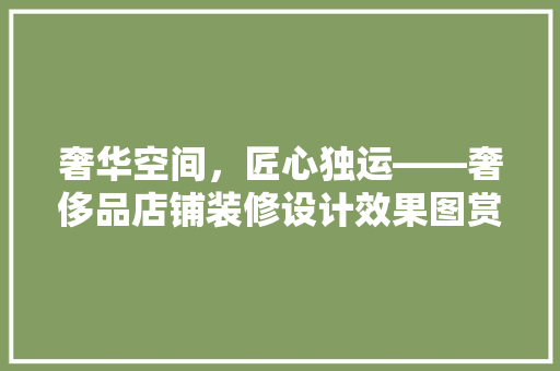 奢华空间，匠心独运——奢侈品店铺装修设计效果图赏析