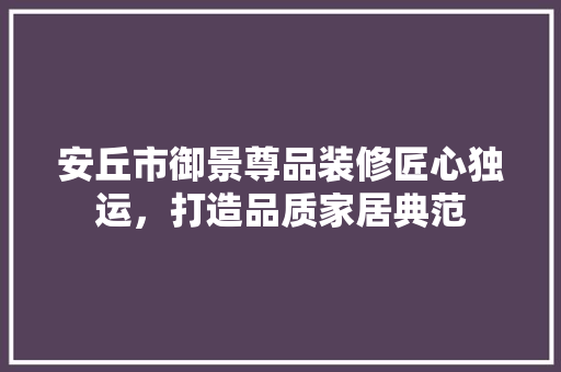 安丘市御景尊品装修匠心独运，打造品质家居典范