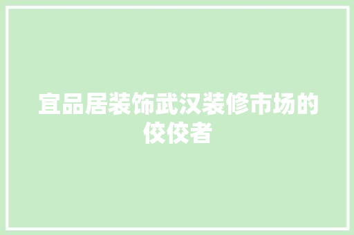 宜品居装饰武汉装修市场的佼佼者