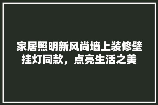 家居照明新风尚墙上装修壁挂灯同款，点亮生活之美