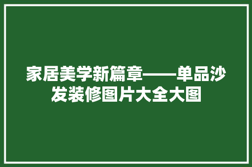 家居美学新篇章——单品沙发装修图片大全大图