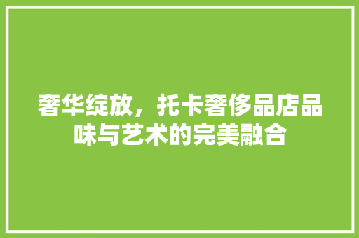 奢华绽放，托卡奢侈品店品味与艺术的完美融合