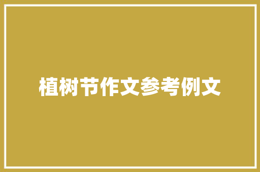 尚品装修流程打造理想家居的完美指南