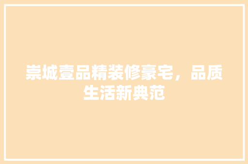崇城壹品精装修豪宅，品质生活新典范