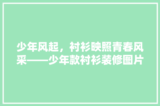 少年风起，衬衫映照青春风采——少年款衬衫装修图片赏析