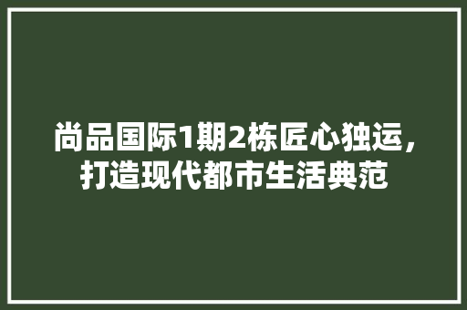 尚品国际1期2栋匠心独运，打造现代都市生活典范