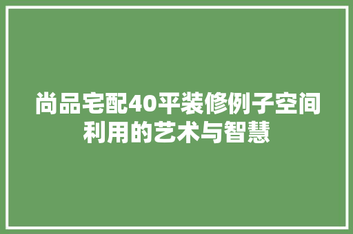 尚品宅配40平装修例子空间利用的艺术与智慧