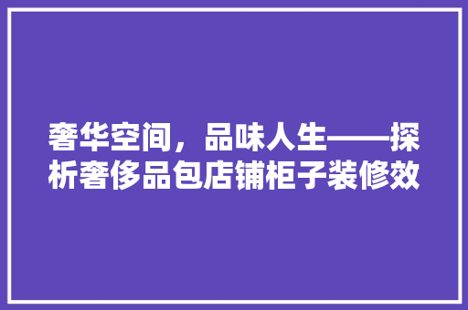 奢华空间，品味人生——探析奢侈品包店铺柜子装修效果图