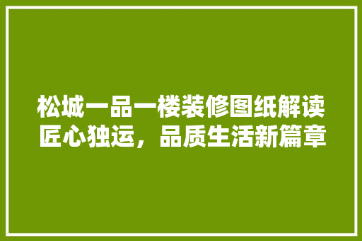 松城一品一楼装修图纸解读匠心独运，品质生活新篇章