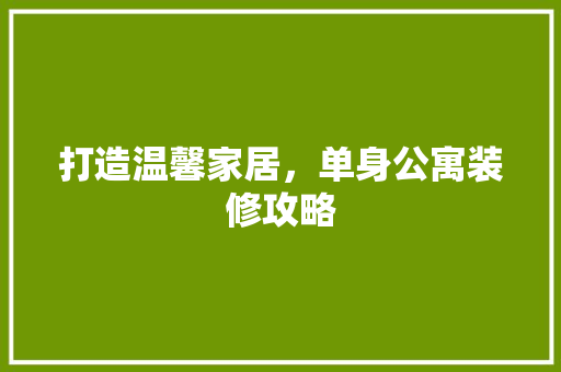 打造温馨家居，单身公寓装修攻略