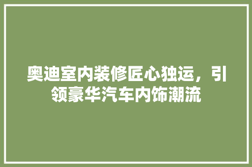 奥迪室内装修匠心独运，引领豪华汽车内饰潮流