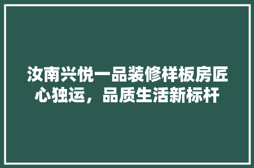 汝南兴悦一品装修样板房匠心独运，品质生活新标杆