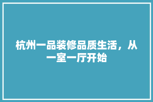 杭州一品装修品质生活，从一室一厅开始