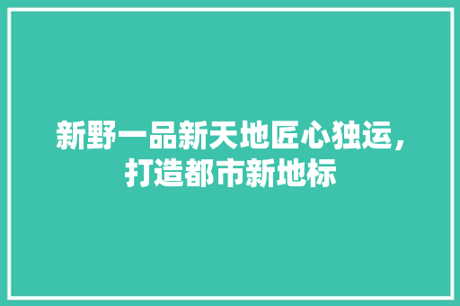 新野一品新天地匠心独运，打造都市新地标