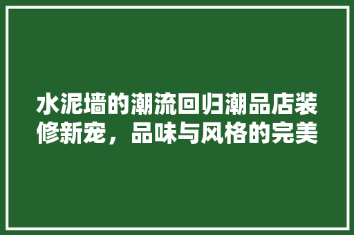 水泥墙的潮流回归潮品店装修新宠，品味与风格的完美融合
