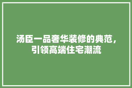 汤臣一品奢华装修的典范，引领高端住宅潮流