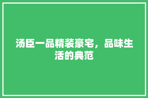 汤臣一品精装豪宅，品味生活的典范