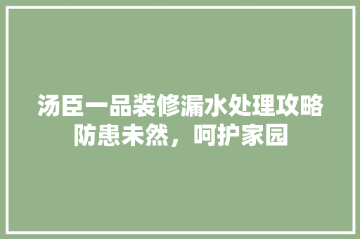 汤臣一品装修漏水处理攻略防患未然，呵护家园